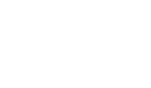 VP Facilities