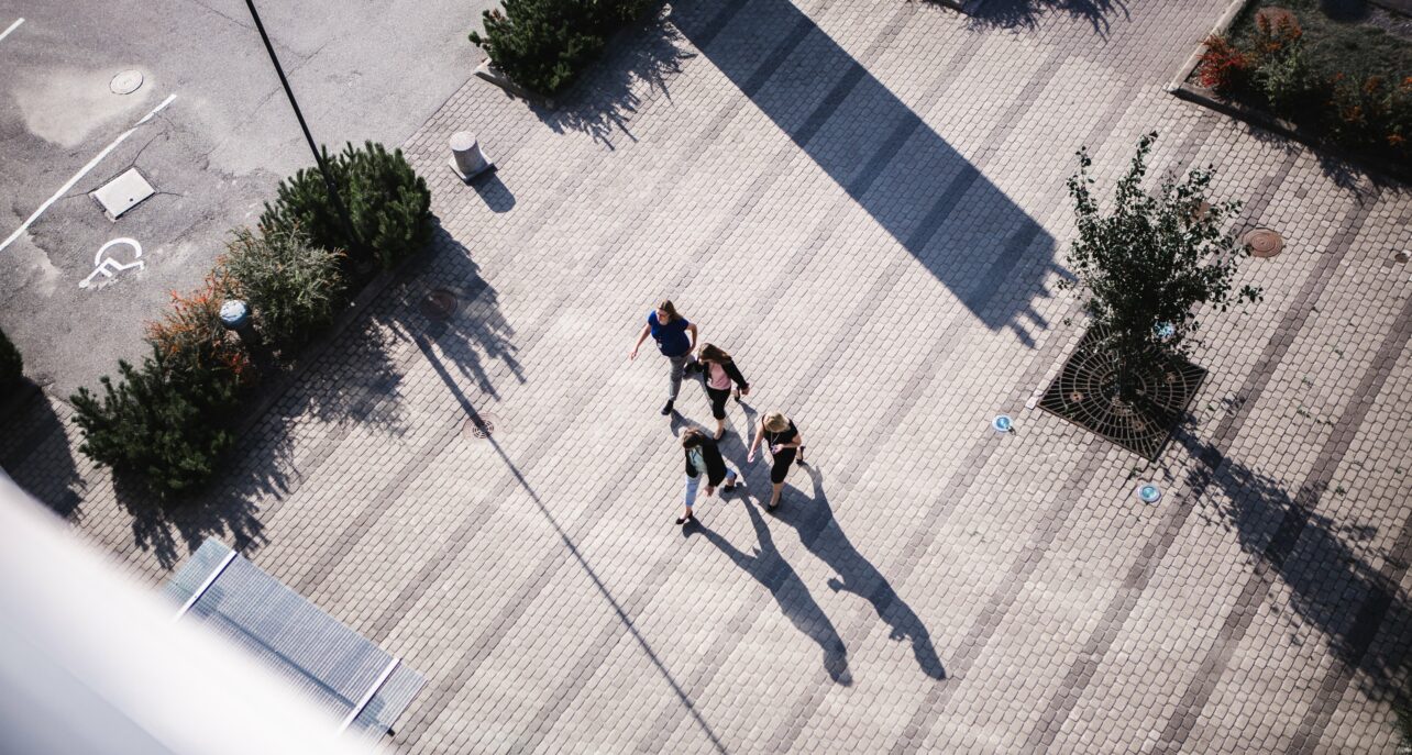 Ny struktur på hemsidona: Vaasa Parks och VP Facilities